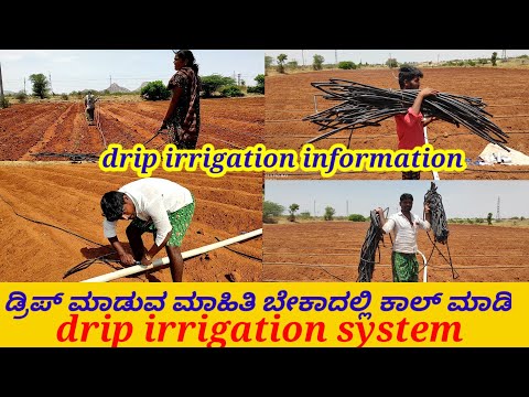 " drip irrigation system " new technical drip irrigation system / japan drip irrigation system