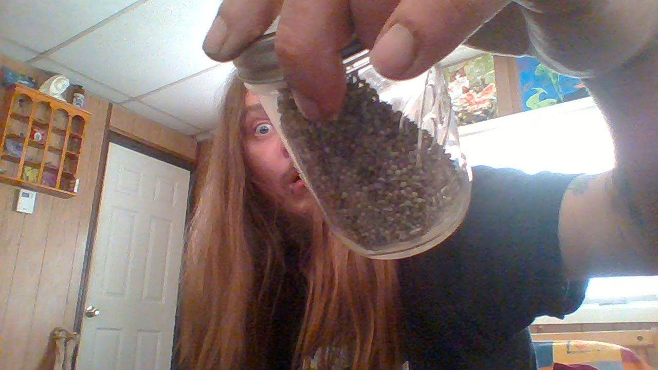 HOLY SHIT I GOT RINGOS GIFT SEEDS