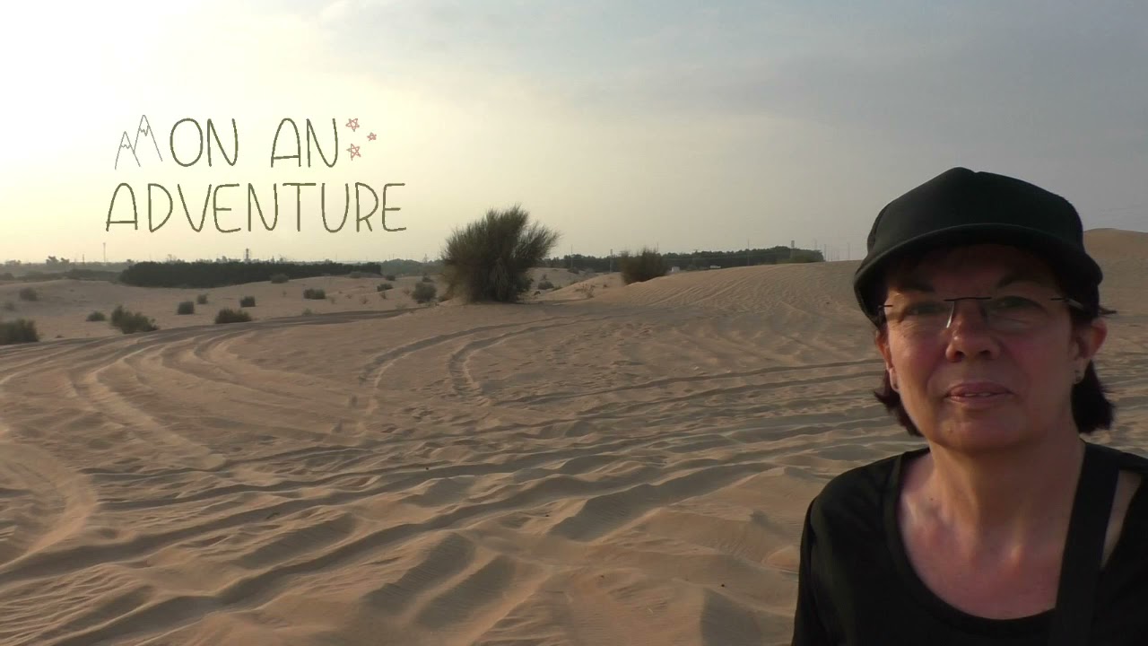 Dubai - Desert- Safari - 07.12.2017