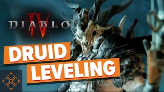 Diablo 4: Druid Leveling Build