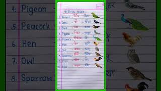 10 birds name English me kaise likhe