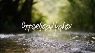 Otterhead Lakes, Somerset