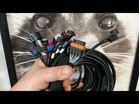 Holley pnp can io module harness