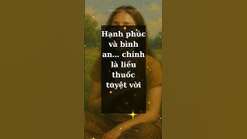 TS Ajahn Brahm Hạnh phúc nội tâm – liều thuốc chữa lành đích thực #hạnhphúc #bìnhan #chữalànhnộitâm