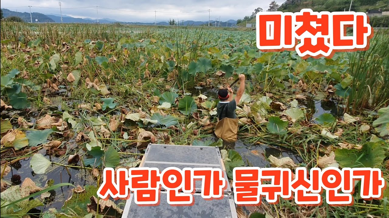 누가 이사람 좀 말려주세요 !! 저수지 꽝치고 수로에서....