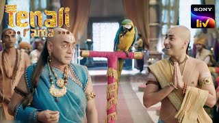 Tenali ने लाई Parrot की असलियत सबके सामने | Tenali Rama | The Noble Clever Man