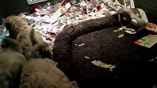 Kurt And Jayna - All Sold