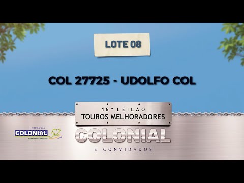 LOTE 08 COL 27725