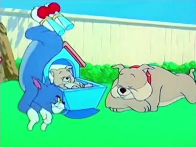 Top 10 Worst Things That Happened to Tom From Tom and Jerry