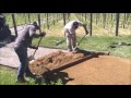 How to install decomposed granite w terrakoat ex stabilizer
