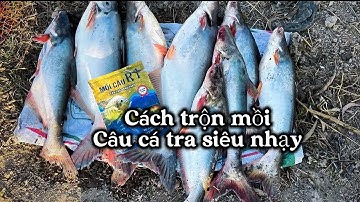 Cách trộn mồi câu cá tra thiên nhiên và Hồ Dịch Vụ. #camr1 #camr2 #camr3 #mồicâur1 #mồicâur3 