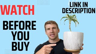 Honest Review of 8 Inch Plant Pot with Drainage Holes and Saucer