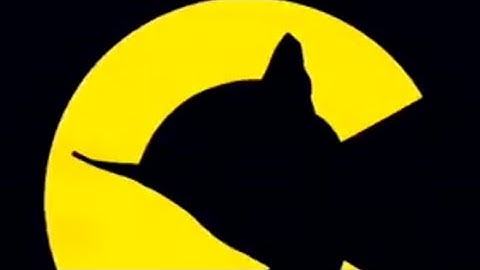 Potential new intro for my videos?