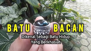 Manfaat Batu Bacan, Batu Akik Asli Indonesia yang dikenal Sebagai Batu Hidup dan Menyerap Energi