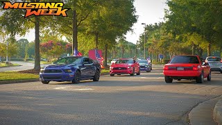 Mustang Week 2023 World Record Attempt Cruise