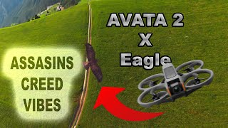 DJI AVATA 2: I flew with an EAGLE!!!
