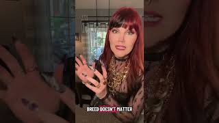 Fill Pantries, Not Shelters