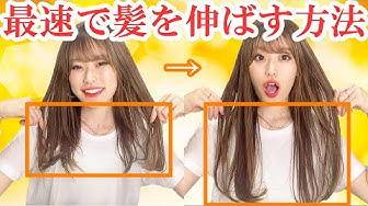 髪の毛 Youtube