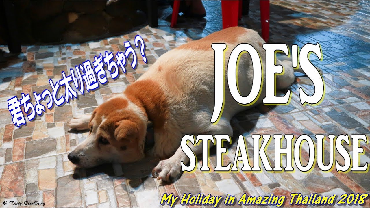 ドラゴンウォーター発見 場所はタイ王国 カオラックのナントン地区 タイ旅 18 Youtube