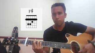 Vídeo de Água Viva