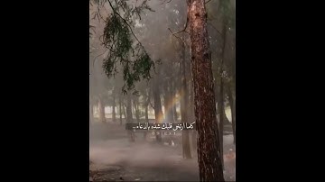 القارئ مؤيد المزين | Instgram : 9iex1