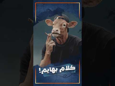 "عجل العيد" يكشف عن سر عمليات الهروب المتكررة!