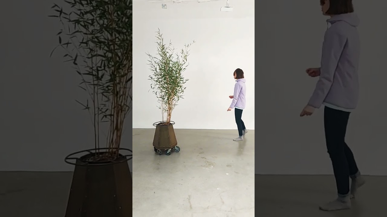 BIOSENSITIVE PERFORMANCE - ANNA PROKOPOVA & BAMBOO 