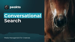 Peakto Tools | Conversational Search