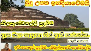 ඉන්දියාවේ වෙහෙර විහාර අන්‍ය ආගමිකයන්ටද? nilakondapalli stupa | meevanapalane | sisira| daham atuvava