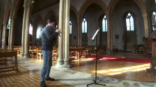 Tamas Palfalvi, F.chopin Variation On A Theme By Rossini Zoom Q4 Test