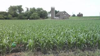 Starter Fertilizer #699 (Air Date 8/28/11)