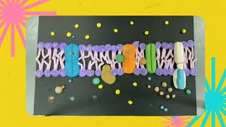 CASE STUDY 5: MELAS SYNDROME 