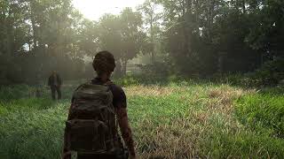 TLOU2 grounded ng 9