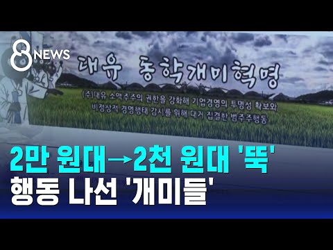   2만 원대 2천 원대 뚝 행동 나선 대기업 직원 개미 SBS 8뉴스