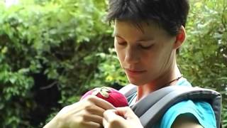 Installer Un Nouveau Ne Dans Le Buzzidil Babysize Reglages Youtube