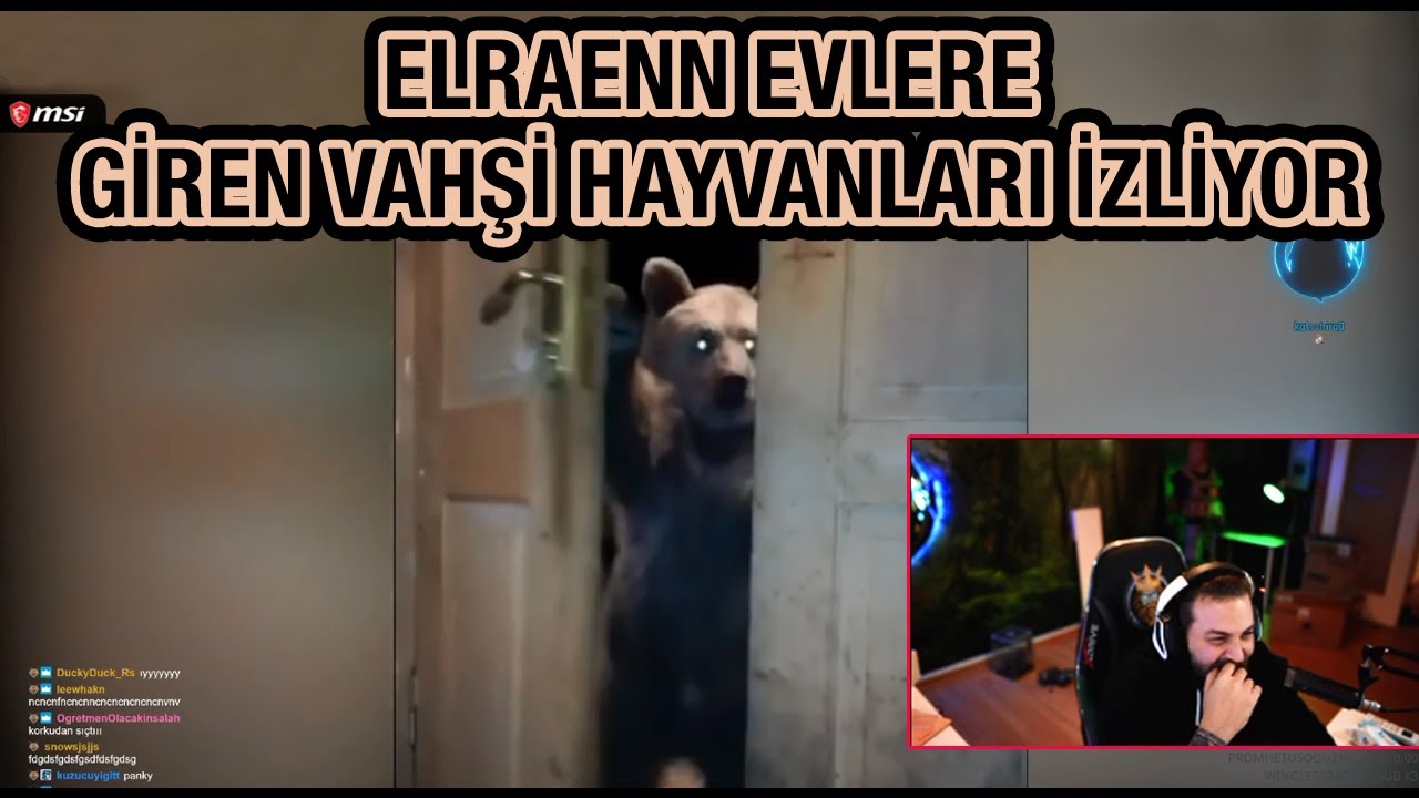 ELRAENN EVLERE GİREN VAHŞİ HAYVANLARI İZLİYOR