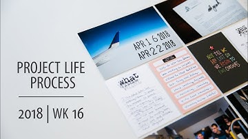 Project Life® Process Video 2018 | Week 16