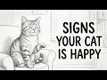 Top Signs Your Cat Is Truly Happy ????