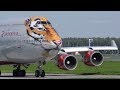 тигролёт тигробоинг 747-400 EI-XLD