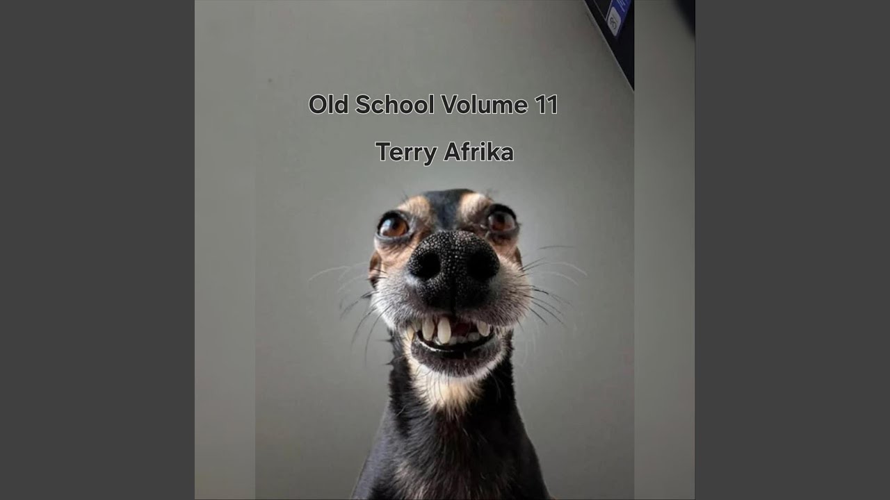 Old School Volume 11