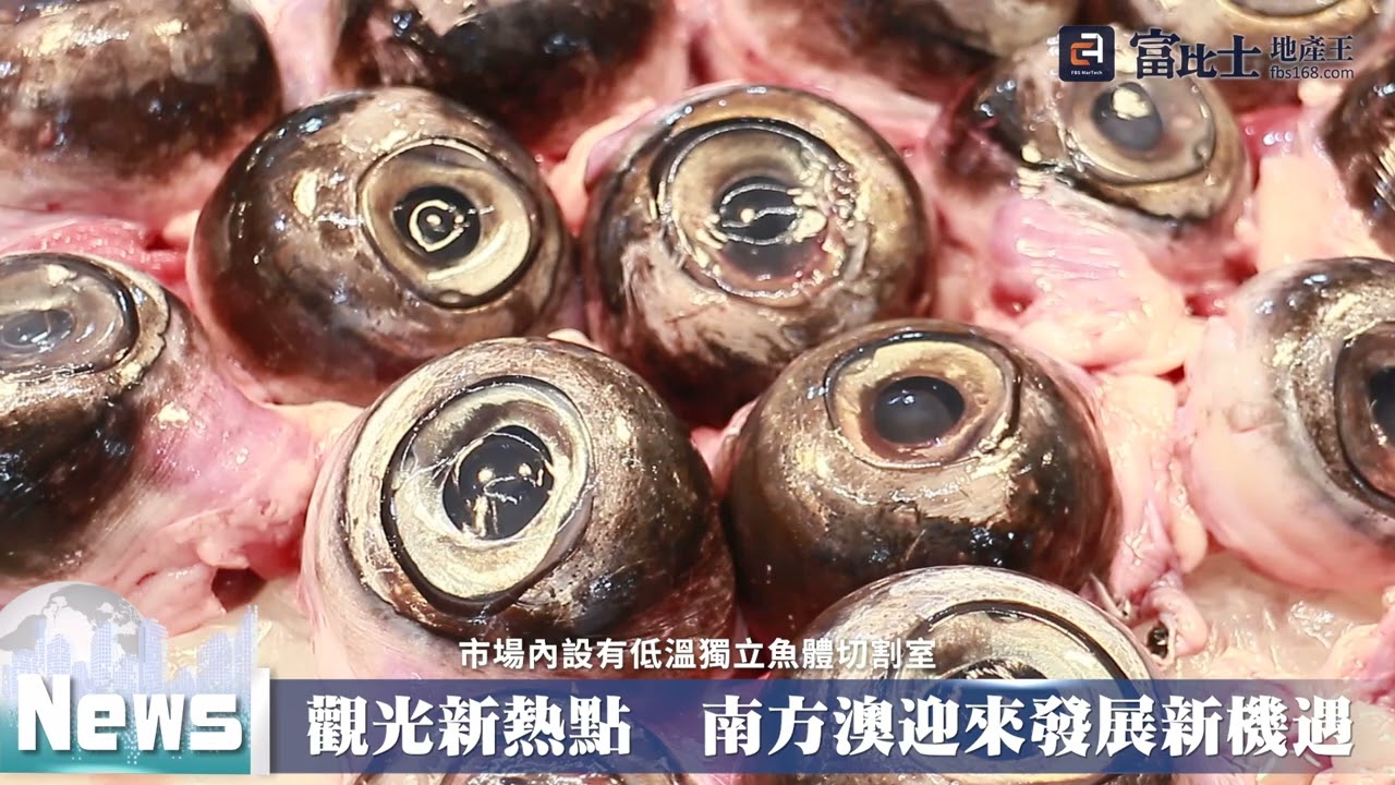 觀光新熱點  南方澳迎來發展新機遇 ｜ 南方澳第一拍賣魚市場 ｜ 富比士地產王