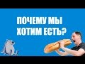 Почему мы хотим есть? Пищевое поведение человека.