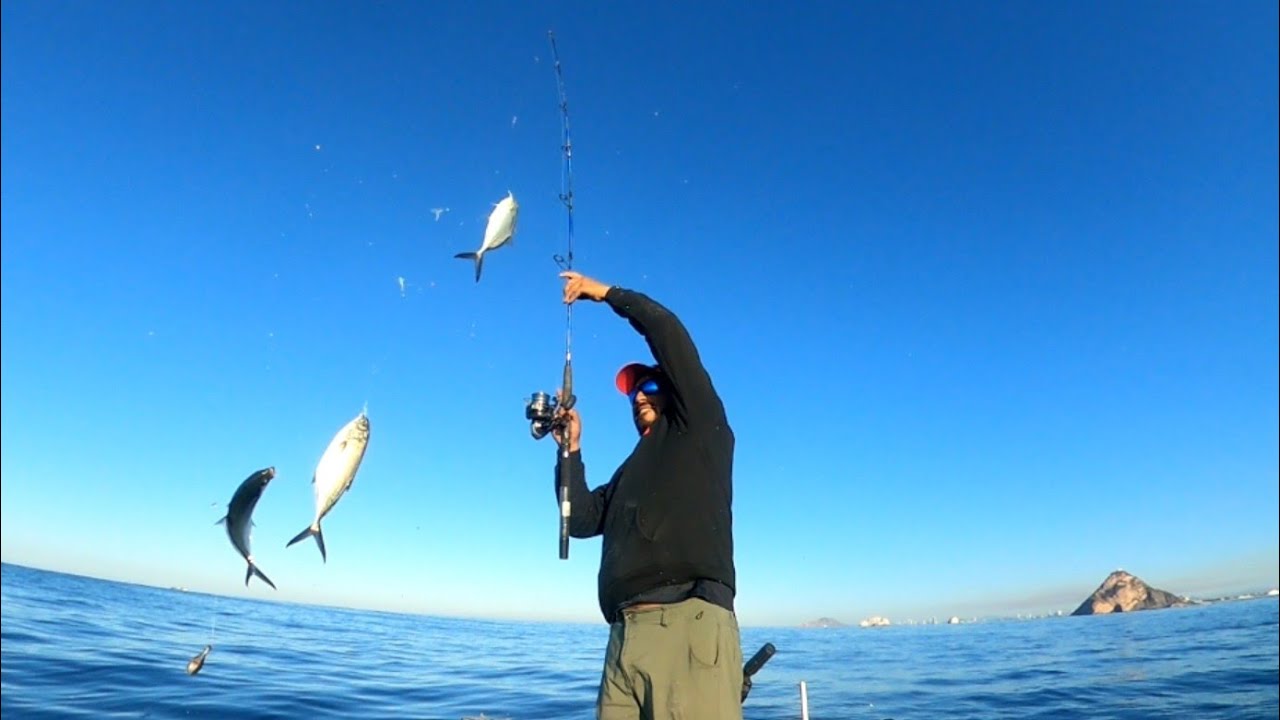 APAREJO DE PESCA MUY EFECTIVOS  // PESCA CON SABIKIS