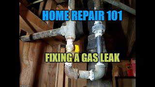 Celebrity HOME REPAIR 101- fixing a gas leak Net Worth