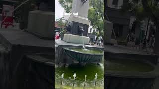 Some beautiful things around here Hyde Park square Cincinnati Ohio Usa#ytshorts #usashorts#viralshor