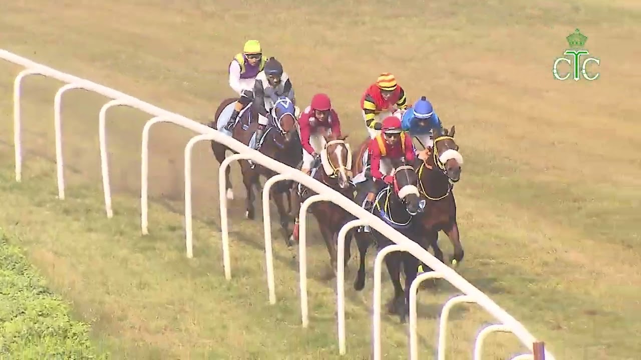 RIGHTEOUS побеждает в Кубке Кавалерии.