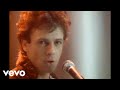 Video thumbnail for Rick Springfield - Affair of the Heart