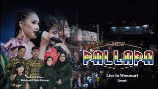 Rana Duka // Brodin // New Pallapa Live Wonosari-Demak 4 Mei 2023