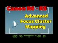 Canon R5/R6 Tutorial - Advanced Focus Cluster Mapping for BIF - Birds In Flight Shooting