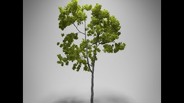 How to Create a Realistic Tree in Blender 3D - Part 3